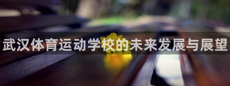 米兰体育官方正版app集团logo:武汉体育运动学校的未来发