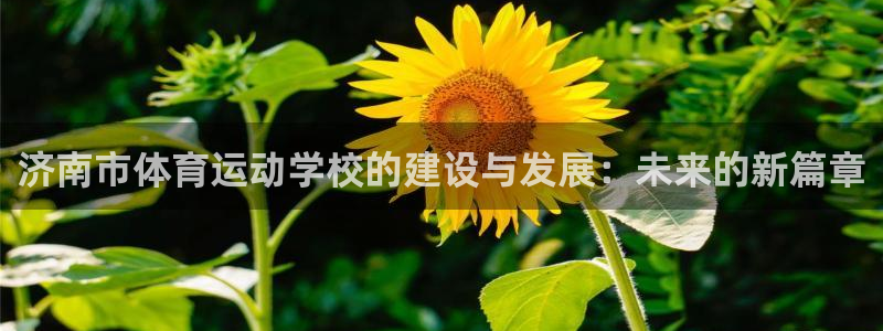 米兰体育官网下载招商电话号码查询:济南市体育运动学校的建设与